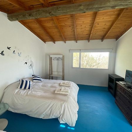 La Casa Del Rey De Las Ballenas ปูแอร์โตปีรามีเดส ภายนอก รูปภาพ